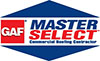 Master Select Logo Edit
